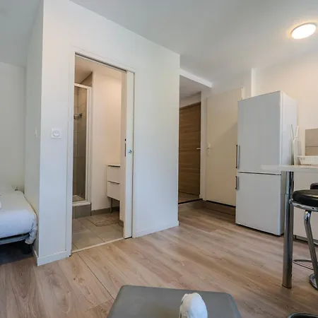 Le Vinoux - Schneider - Edf - St Micro - Cea Apartment *