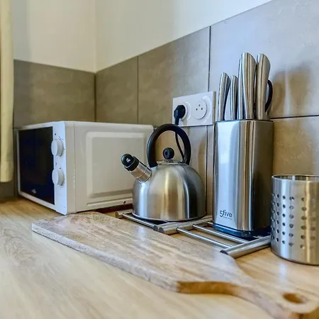 Le Vinoux - Schneider - Edf - St Micro - Cea Apartment Saint-Martin-le-Vinoux