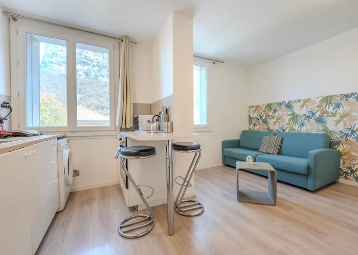 Appartement Le Vinoux - Schneider - Edf - St Micro - Cea